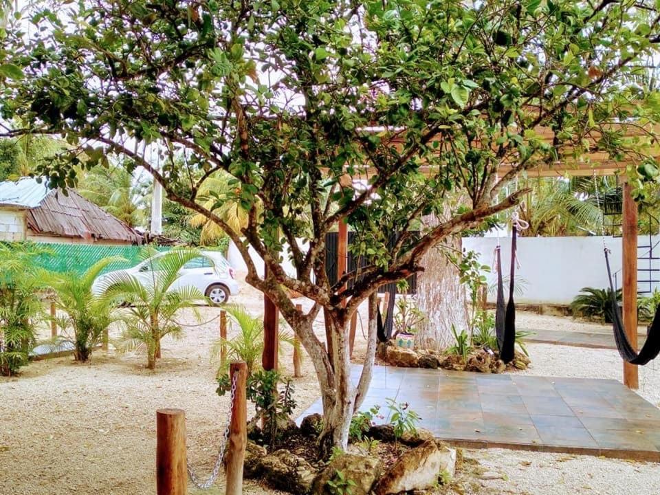 Cedro Rojo Ξενοδοχείο Bacalar Εξωτερικό φωτογραφία
